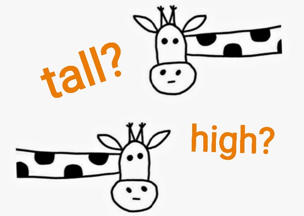 High vs Tall